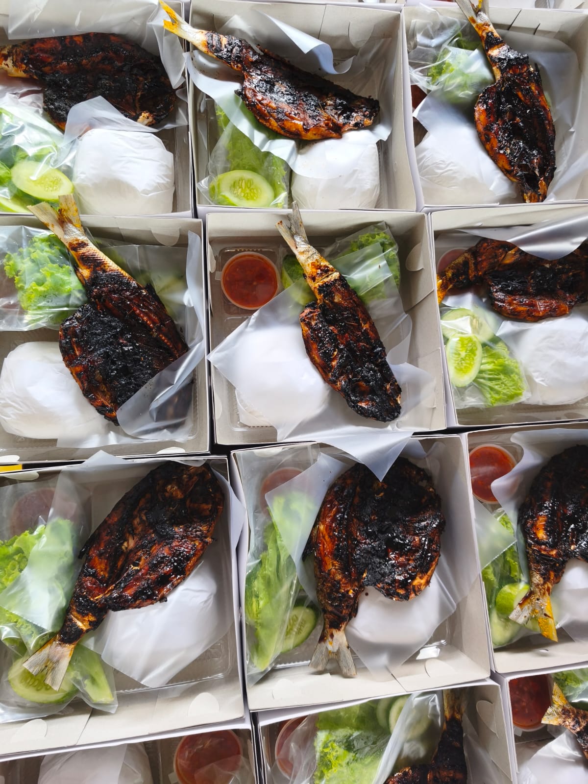 Paket Nasi Box Biasa (Box Coklat) - Ikan